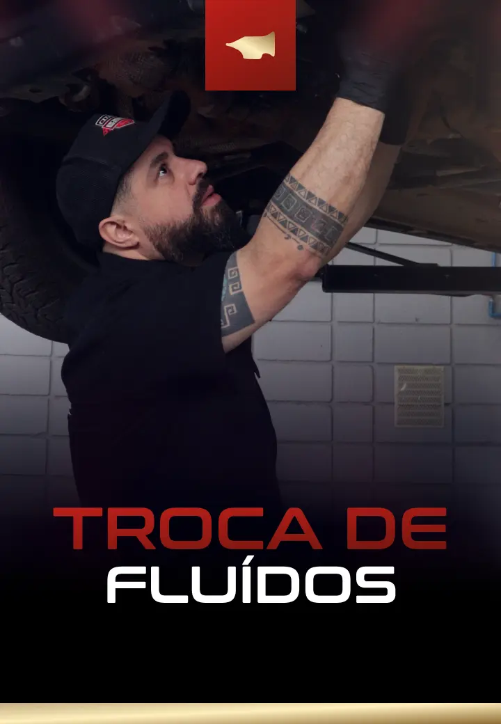 Trilha-2