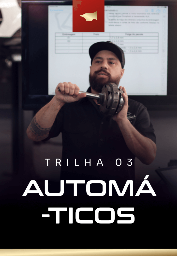 Trilha 3